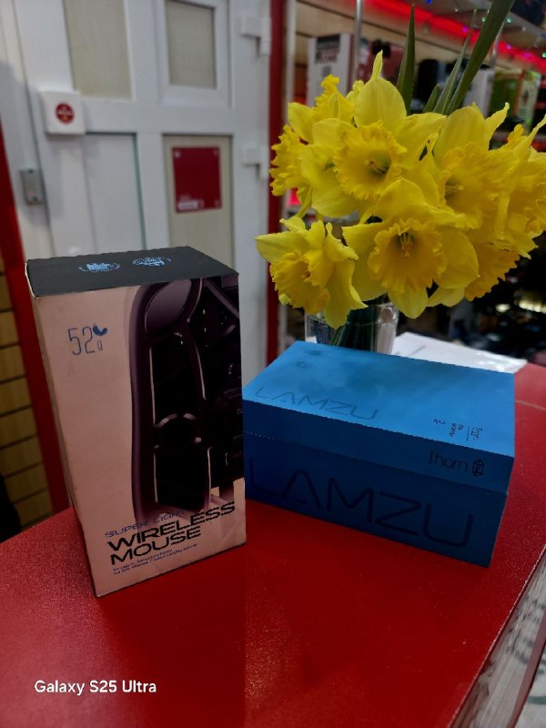 Мышь  Thorn белая