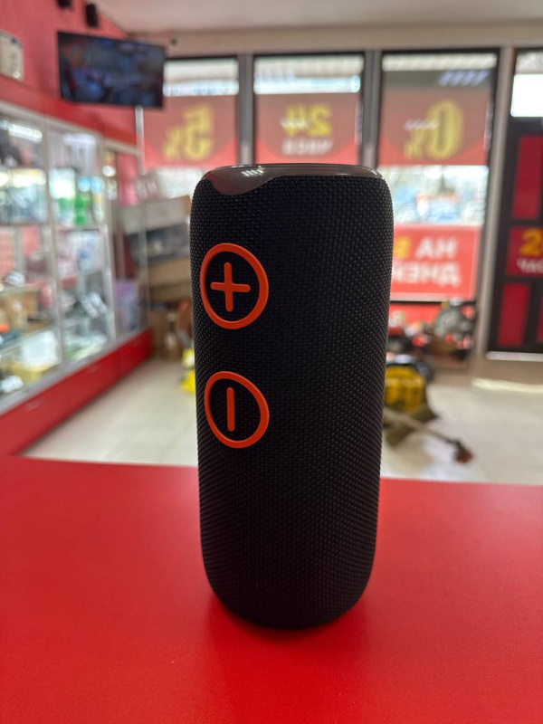 Колонки Блютуз Blueseed  bs-307